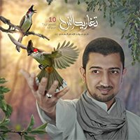 إصدار تغاريد الفرح الجزء 10